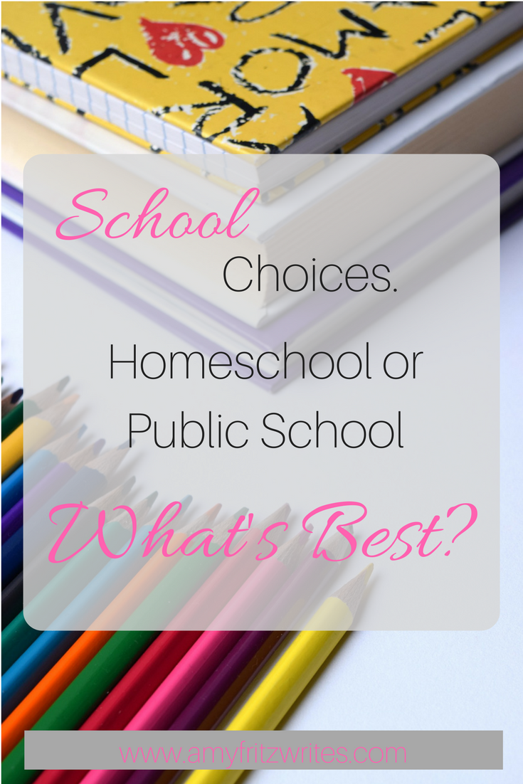 School choices. Should we homeschool or public school?